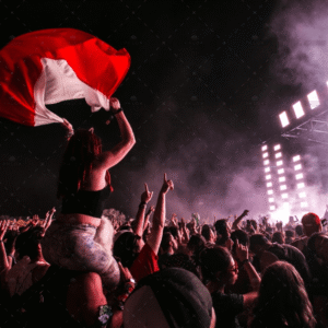 demo-attachment-2088-photo-of-crowd-during-concert-1190295