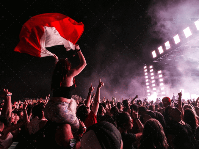 demo-attachment-2088-photo-of-crowd-during-concert-1190295